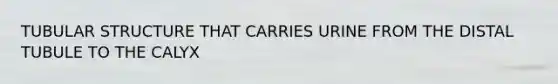 TUBULAR STRUCTURE THAT CARRIES URINE FROM THE DISTAL TUBULE TO THE CALYX