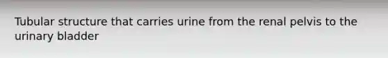 Tubular structure that carries urine from the renal pelvis to the urinary bladder