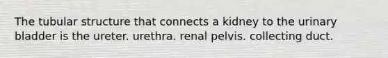 The tubular structure that connects a kidney to the urinary bladder is the ureter. urethra. renal pelvis. collecting duct.