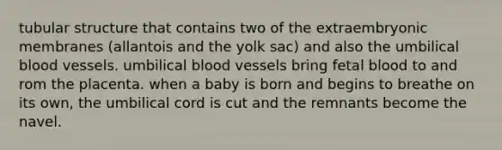 tubular structure that contains two of the extraembryonic membranes (allantois and the yolk sac) and also the umbilical blood vessels. umbilical blood vessels bring fetal blood to and rom the placenta. when a baby is born and begins to breathe on its own, the umbilical cord is cut and the remnants become the navel.