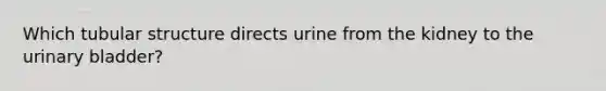 Which tubular structure directs urine from the kidney to the urinary bladder?