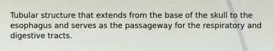 Tubular structure that extends from the base of the skull to the esophagus and serves as the passageway for the respiratory and digestive tracts.