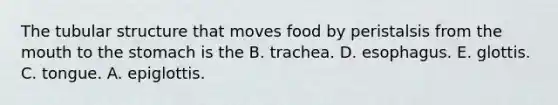 The tubular structure that moves food by peristalsis from the mouth to the stomach is the B. trachea. D. esophagus. E. glottis. C. tongue. A. epiglottis.