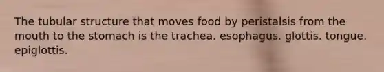 The tubular structure that moves food by peristalsis from the mouth to the stomach is the trachea. esophagus. glottis. tongue. epiglottis.