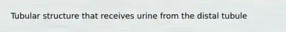 Tubular structure that receives urine from the distal tubule