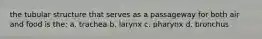 the tubular structure that serves as a passageway for both air and food is the: a. trachea b. larynx c. pharynx d. bronchus