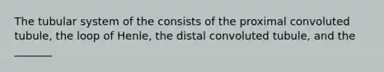 The tubular system of the consists of the proximal convoluted tubule, the loop of Henle, the distal convoluted tubule, and the _______