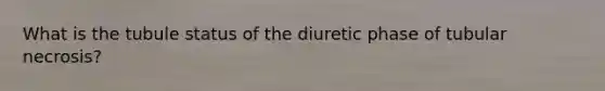 What is the tubule status of the diuretic phase of tubular necrosis?