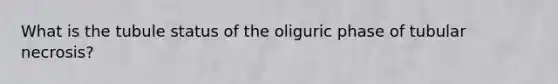 What is the tubule status of the oliguric phase of tubular necrosis?