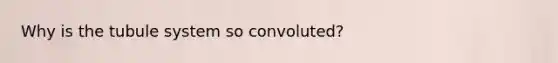 Why is the tubule system so convoluted?