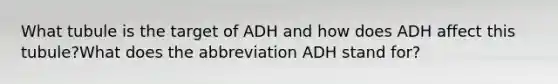 What tubule is the target of ADH and how does ADH affect this tubule?What does the abbreviation ADH stand for?