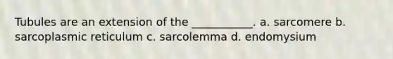 Tubules are an extension of the ___________. a. sarcomere b. sarcoplasmic reticulum c. sarcolemma d. endomysium