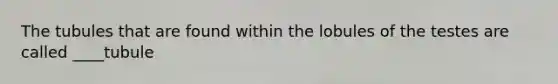 The tubules that are found within the lobules of the testes are called ____tubule