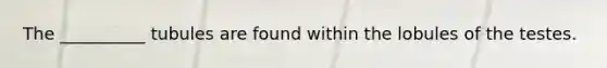 The __________ tubules are found within the lobules of the testes.