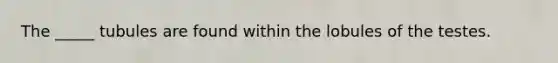 The _____ tubules are found within the lobules of the testes.