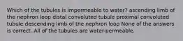 Which of the tubules is impermeable to water? ascending limb of the nephron loop distal convoluted tubule proximal convoluted tubule descending limb of the nephron loop None of the answers is correct. All of the tubules are water-permeable.