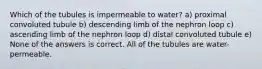 Which of the tubules is impermeable to water? a) proximal convoluted tubule b) descending limb of the nephron loop c) ascending limb of the nephron loop d) distal convoluted tubule e) None of the answers is correct. All of the tubules are water-permeable.