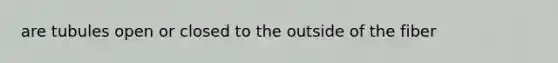 are tubules open or closed to the outside of the fiber