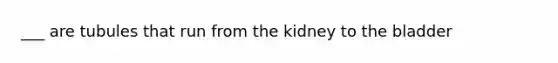 ___ are tubules that run from the kidney to the bladder