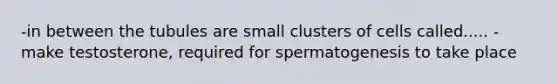 -in between the tubules are small clusters of cells called..... -make testosterone, required for spermatogenesis to take place