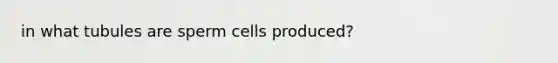 in what tubules are sperm cells produced?