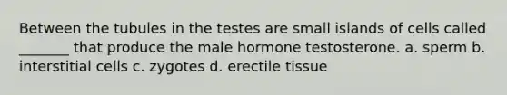 Between the tubules in the testes are small islands of cells called _______ that produce the male hormone testosterone. a. sperm b. interstitial cells c. zygotes d. erectile tissue