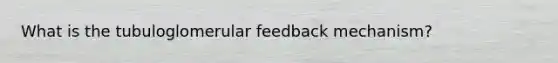 What is the tubuloglomerular feedback mechanism?