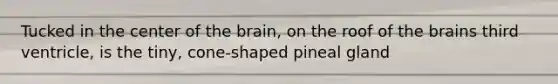 Tucked in the center of <a href='https://www.questionai.com/knowledge/kLMtJeqKp6-the-brain' class='anchor-knowledge'>the brain</a>, on the roof of the brains third ventricle, is the tiny, cone-shaped pineal gland