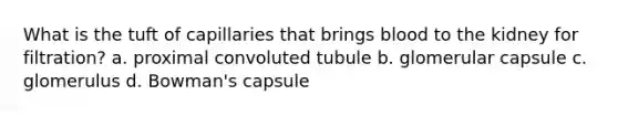 What is the tuft of capillaries that brings blood to the kidney for filtration? a. proximal convoluted tubule b. glomerular capsule c. glomerulus d. Bowman's capsule