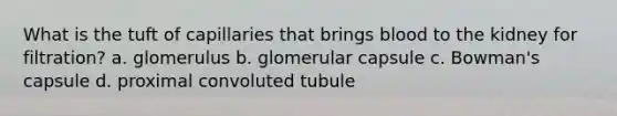 What is the tuft of capillaries that brings blood to the kidney for filtration? a. glomerulus b. glomerular capsule c. Bowman's capsule d. proximal convoluted tubule