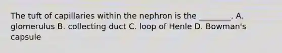 The tuft of capillaries within the nephron is the​ ________. A. glomerulus B. collecting duct C. loop of Henle D. ​Bowman's capsule