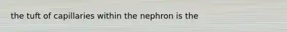 the tuft of capillaries within the nephron is the