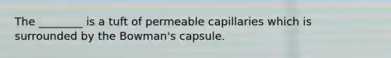 The ________ is a tuft of permeable capillaries which is surrounded by the Bowman's capsule.