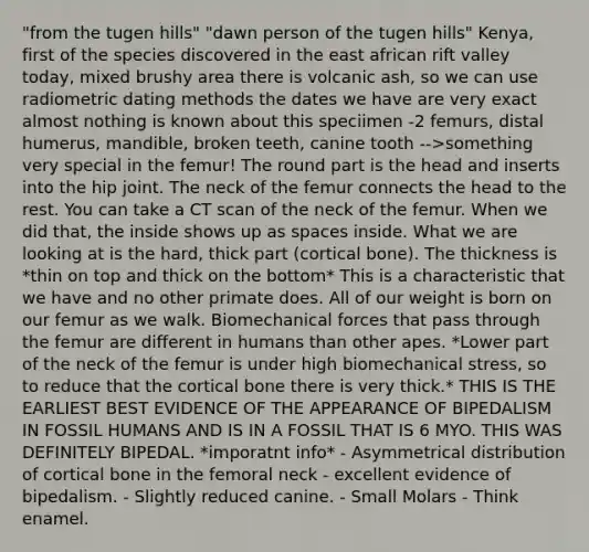 "from the tugen hills" "dawn person of the tugen hills" Kenya, first of the species discovered in the east african rift valley today, mixed brushy area there is volcanic ash, so we can use radiometric dating methods the dates we have are very exact almost nothing is known about this speciimen -2 femurs, distal humerus, mandible, broken teeth, canine tooth -->something very special in the femur! The round part is the head and inserts into the hip joint. The neck of the femur connects the head to the rest. You can take a CT scan of the neck of the femur. When we did that, the inside shows up as spaces inside. What we are looking at is the hard, thick part (cortical bone). The thickness is *thin on top and thick on the bottom* This is a characteristic that we have and no other primate does. All of our weight is born on our femur as we walk. Biomechanical forces that pass through the femur are different in humans than other apes. *Lower part of the neck of the femur is under high biomechanical stress, so to reduce that the cortical bone there is very thick.* THIS IS THE EARLIEST BEST EVIDENCE OF THE APPEARANCE OF BIPEDALISM IN FOSSIL HUMANS AND IS IN A FOSSIL THAT IS 6 MYO. THIS WAS DEFINITELY BIPEDAL. *imporatnt info* - Asymmetrical distribution of cortical bone in the femoral neck - excellent evidence of bipedalism. - Slightly reduced canine. - Small Molars - Think enamel.