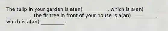 The tulip in your garden is a(an) __________, which is a(an) __________. The fir tree in front of your house is a(an) __________, which is a(an) __________.