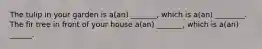 The tulip in your garden is a(an) _______, which is a(an) ________. The fir tree in front of your house a(an) _______, which is a(an) ______.