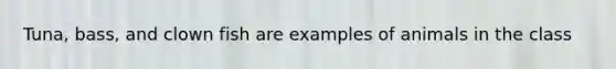 Tuna, bass, and clown fish are examples of animals in the class