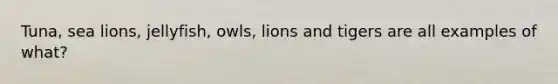 Tuna, sea lions, jellyfish, owls, lions and tigers are all examples of what?