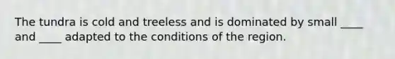 The tundra is cold and treeless and is dominated by small ____ and ____ adapted to the conditions of the region.