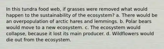 In this tundra food web, if grasses were removed what would happen to the sustainability of <a href='https://www.questionai.com/knowledge/k49x5J3j3W-the-ecosystem' class='anchor-knowledge'>the ecosystem</a>? a. There would be an overpopulation of arctic hares and lemmings. b. Polar bears would move to a new ecosystem. c. The ecosystem would collapse, because it lost its main producer. d. Wildflowers would die out from the ecosystem.