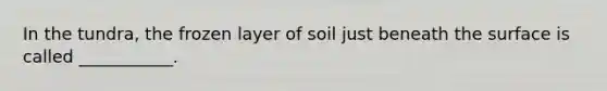 In the tundra, the frozen layer of soil just beneath the surface is called ___________.