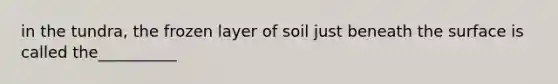 in the tundra, the frozen layer of soil just beneath the surface is called the__________