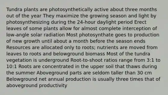 Tundra plants are photosynthetically active about three months out of the year They maximize the growing season and light by photosynthesizing during the 24-hour daylight period Erect leaves of some plants allow for almost complete interception of low-angle solar radiation Most photosynthate goes to production of new growth until about a month before the season ends Resources are allocated only to roots; nutrients are moved from leaves to roots and belowground biomass Most of the tundra vegetation is underground Root-to-shoot ratios range from 3:1 to 10:1 Roots are concentrated in the upper soil that thaws during the summer Aboveground parts are seldom taller than 30 cm Belowground net annual production is usually three times that of aboveground productivity