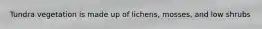 Tundra vegetation is made up of lichens, mosses, and low shrubs