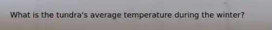 What is the tundra's average temperature during the winter?