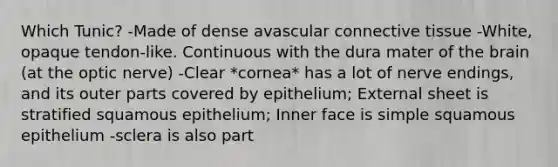 Which Tunic? -Made of dense avascular connective tissue -White, opaque tendon-like. Continuous with the dura mater of the brain (at the optic nerve) -Clear *cornea* has a lot of nerve endings, and its outer parts covered by epithelium; External sheet is stratified squamous epithelium; Inner face is simple squamous epithelium -sclera is also part