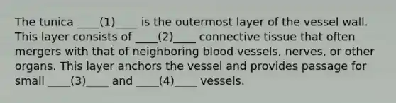 The tunica ____(1)____ is the outermost layer of the vessel wall. This layer consists of ____(2)____ connective tissue that often mergers with that of neighboring blood vessels, nerves, or other organs. This layer anchors the vessel and provides passage for small ____(3)____ and ____(4)____ vessels.