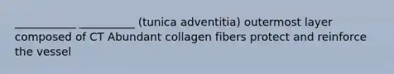 ___________ __________ (tunica adventitia) outermost layer composed of CT Abundant collagen fibers protect and reinforce the vessel