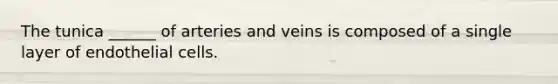 The tunica ______ of arteries and veins is composed of a single layer of endothelial cells.