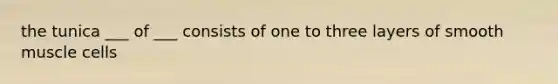 the tunica ___ of ___ consists of one to three layers of smooth muscle cells